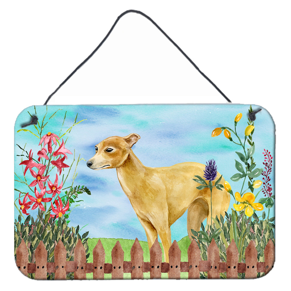 CarolineS Treasures Italian Greyhound Spring Metal Print, 8 Inch  Inch  X 12 Inch  Inch , Multicolor