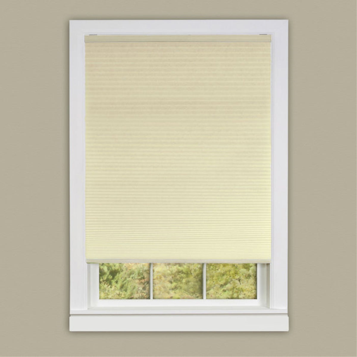 Cordless Honeycomb Cellular Shades  Versatile & Visually Appealing Window Coverings For Comfortable Room Temperature  Alabaste
