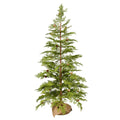 48 Inch  Cedar Pinecone Tree 63Tips
