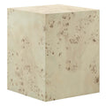 Cosmos 16'' Square Burl Wood Side Table