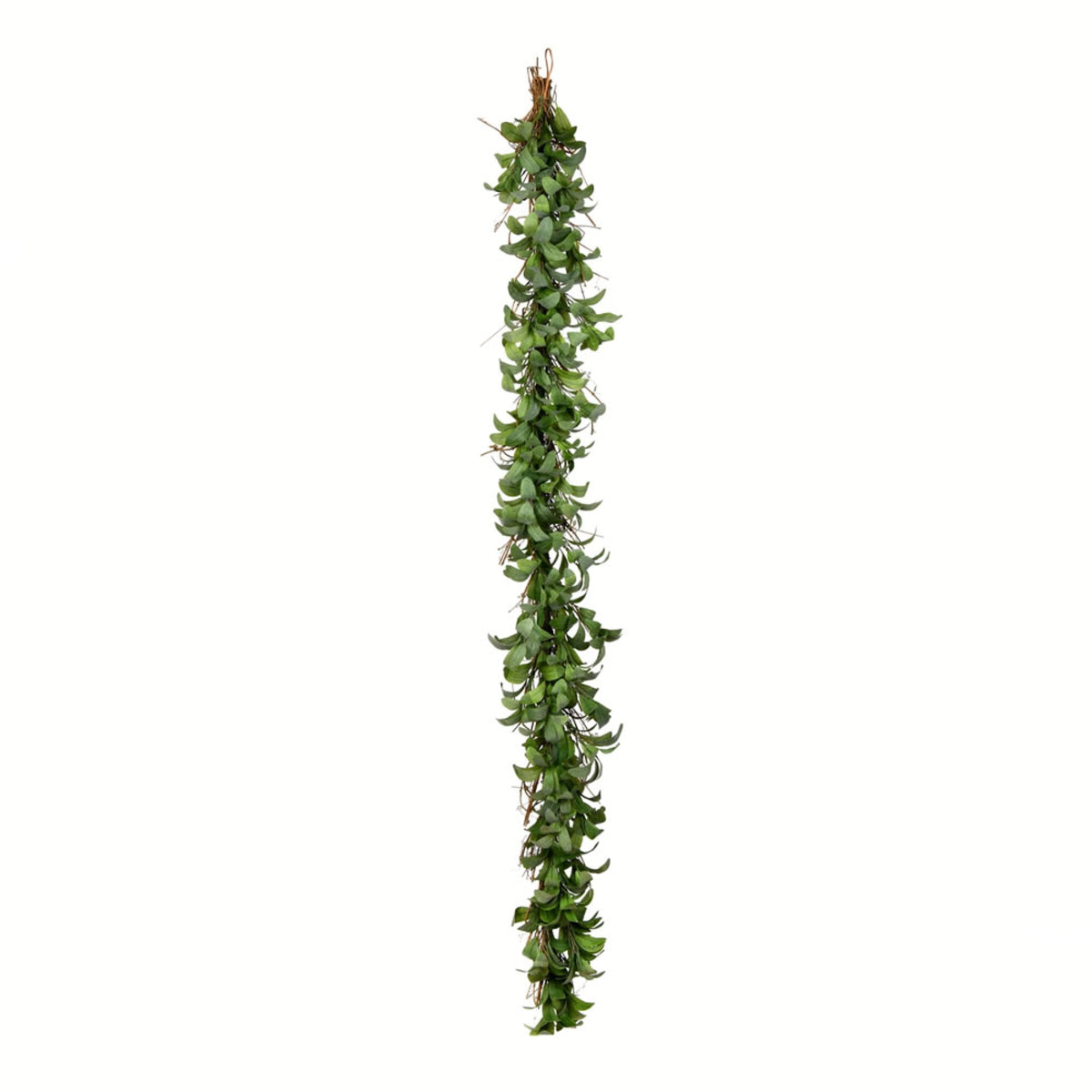 6 Lamb Ear Garland