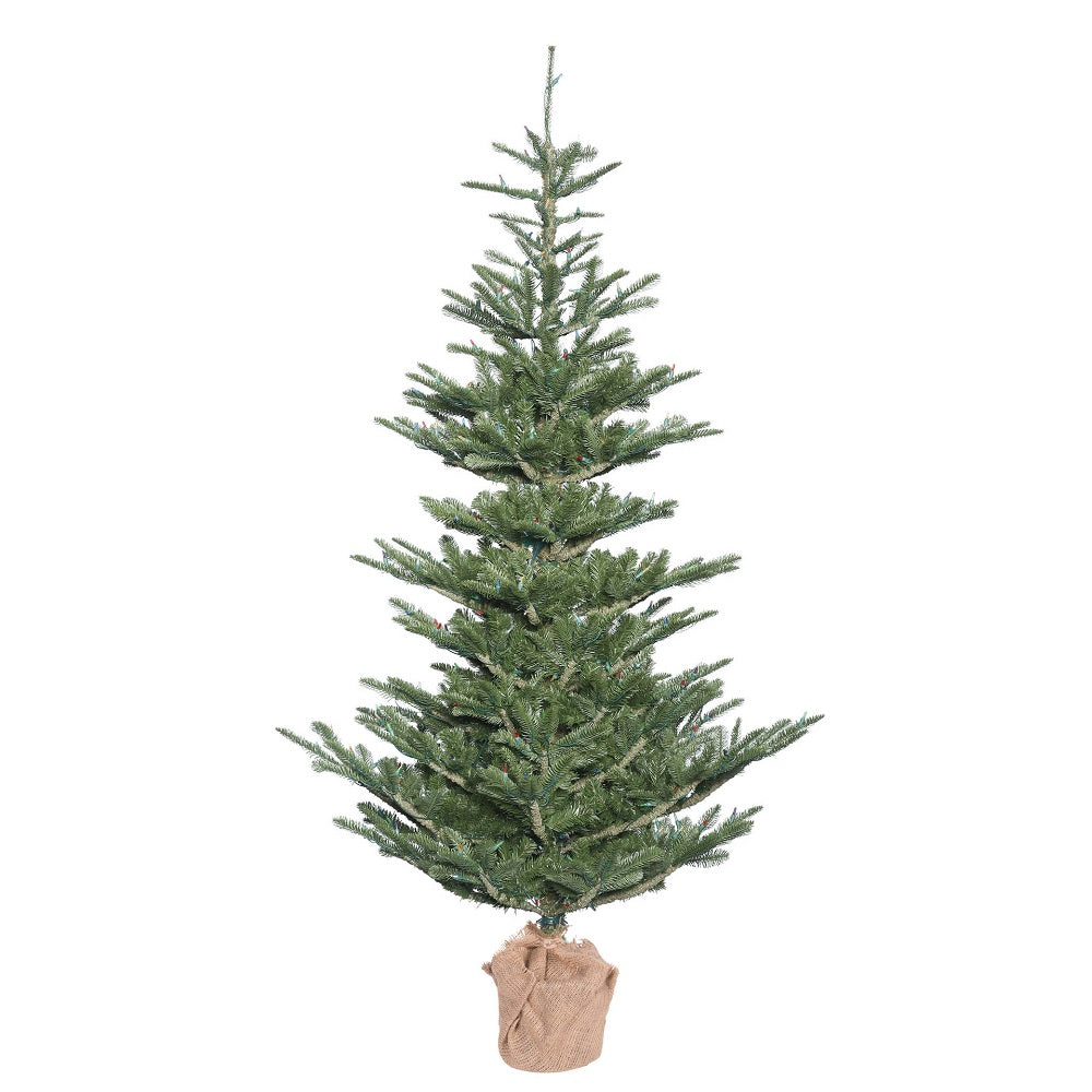 Vickerman 4 X 32 Inch  Alberta Spruce 208T Burlap Base  G160240
