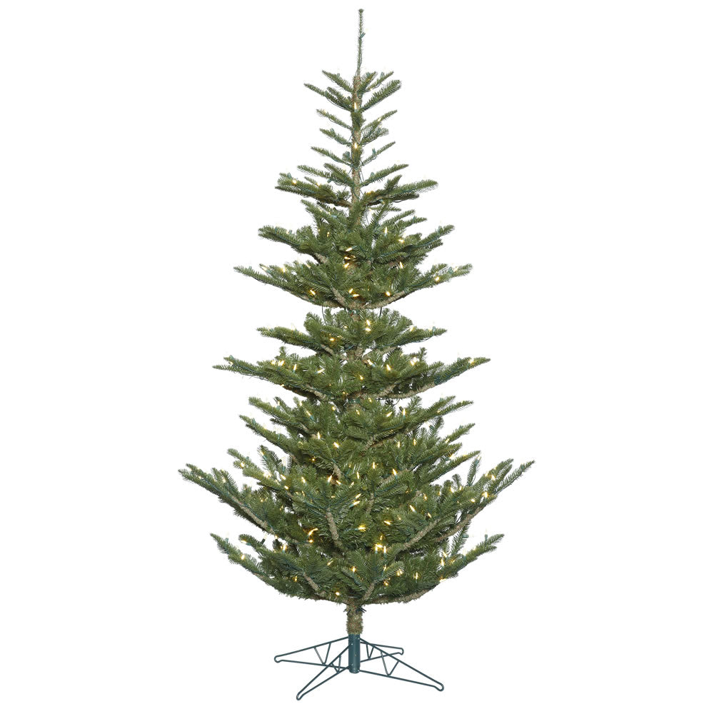 Vickerman 6 X 48 Inch  Alberta Spruce 300Led Wmwht  G160261Led
