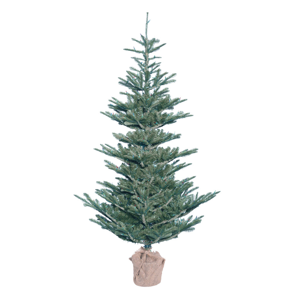 Vickerman 5 X 40 Inch  Alberta Blue Spruce 352T Burlap  G160450