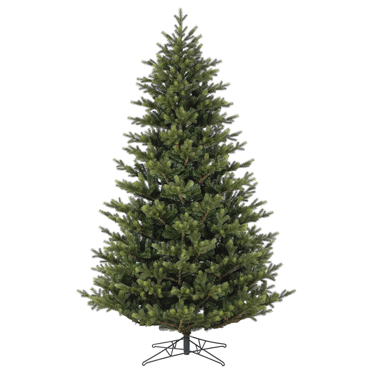 6.5 X 52 Inch  Welch Fraser Fir 2645T