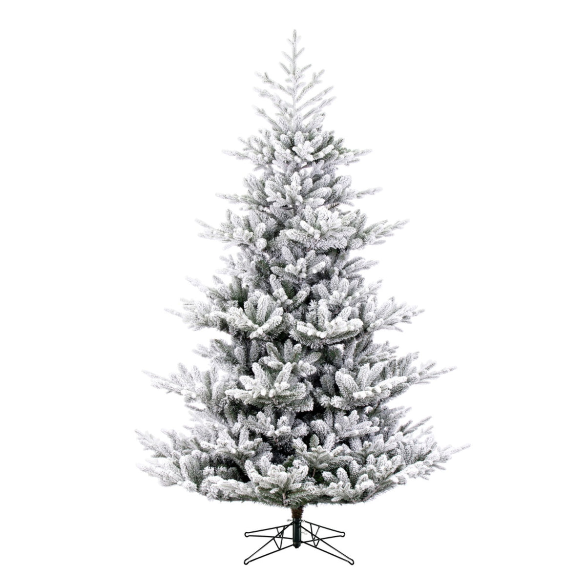 6.5 X 57 Inch  Flkd Hudson Fraser Fir 1844T