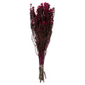 12-22 Raspberry Phylica Bundle 5oz