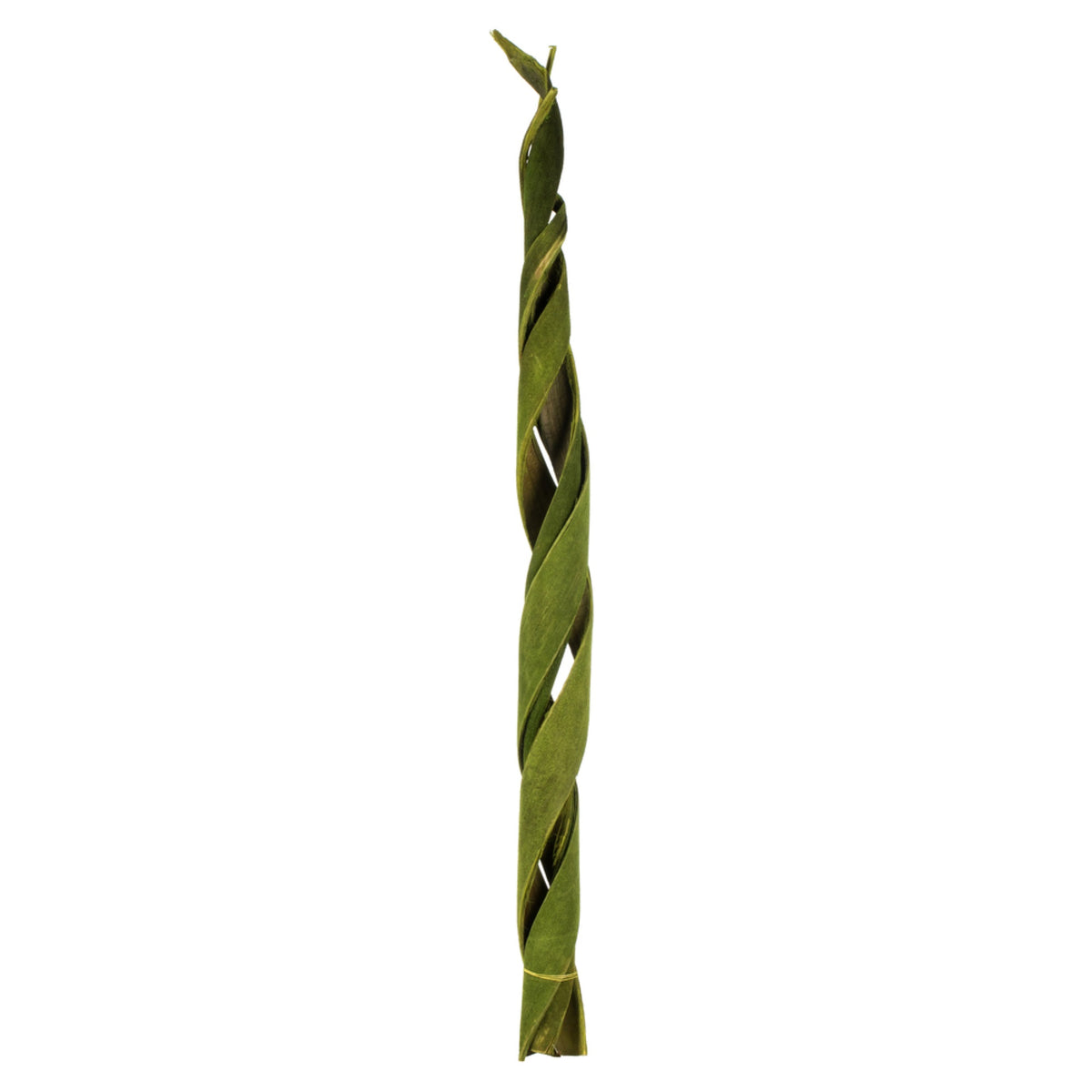 45-48 Curled Basil Coco Velvet Stems