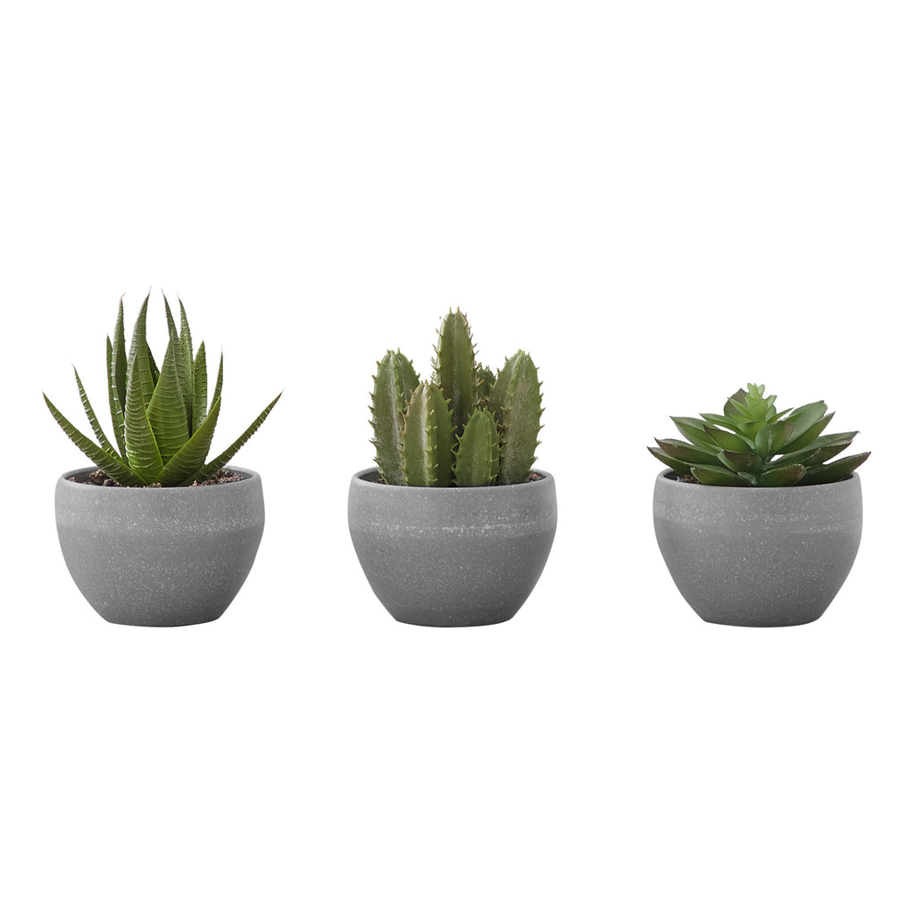 Monarch Specialties I 9587 Artificial Plant, 6' Tall, Succulent, Indoor, Faux, Fake, Table, Greenery, Potted, Set of 3, Decorative, Green Plants