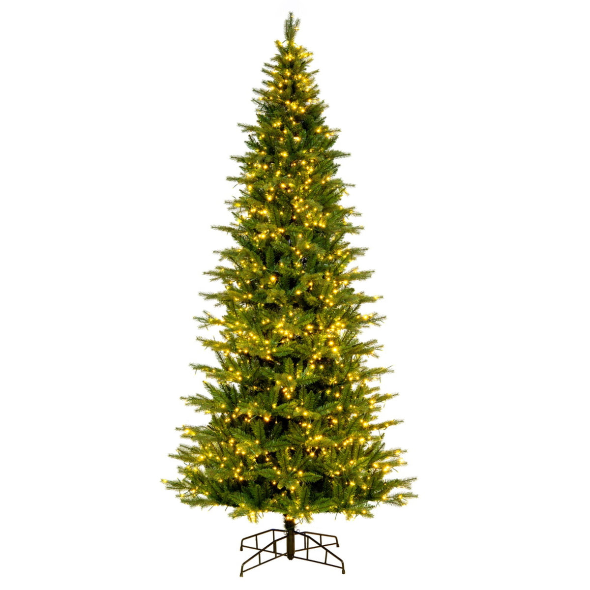 9 X 52 Inch  Balsam Spruce 3Mm Led 1700Cc