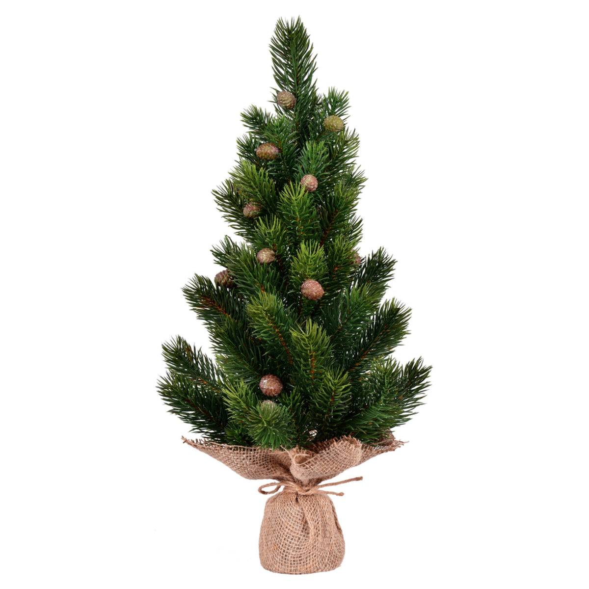 19 Inch  Spruce Sapling Tree Cones Burlap