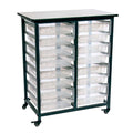 Ergode Double Row Mobile Bin Storage Unit With Small Clear Bins