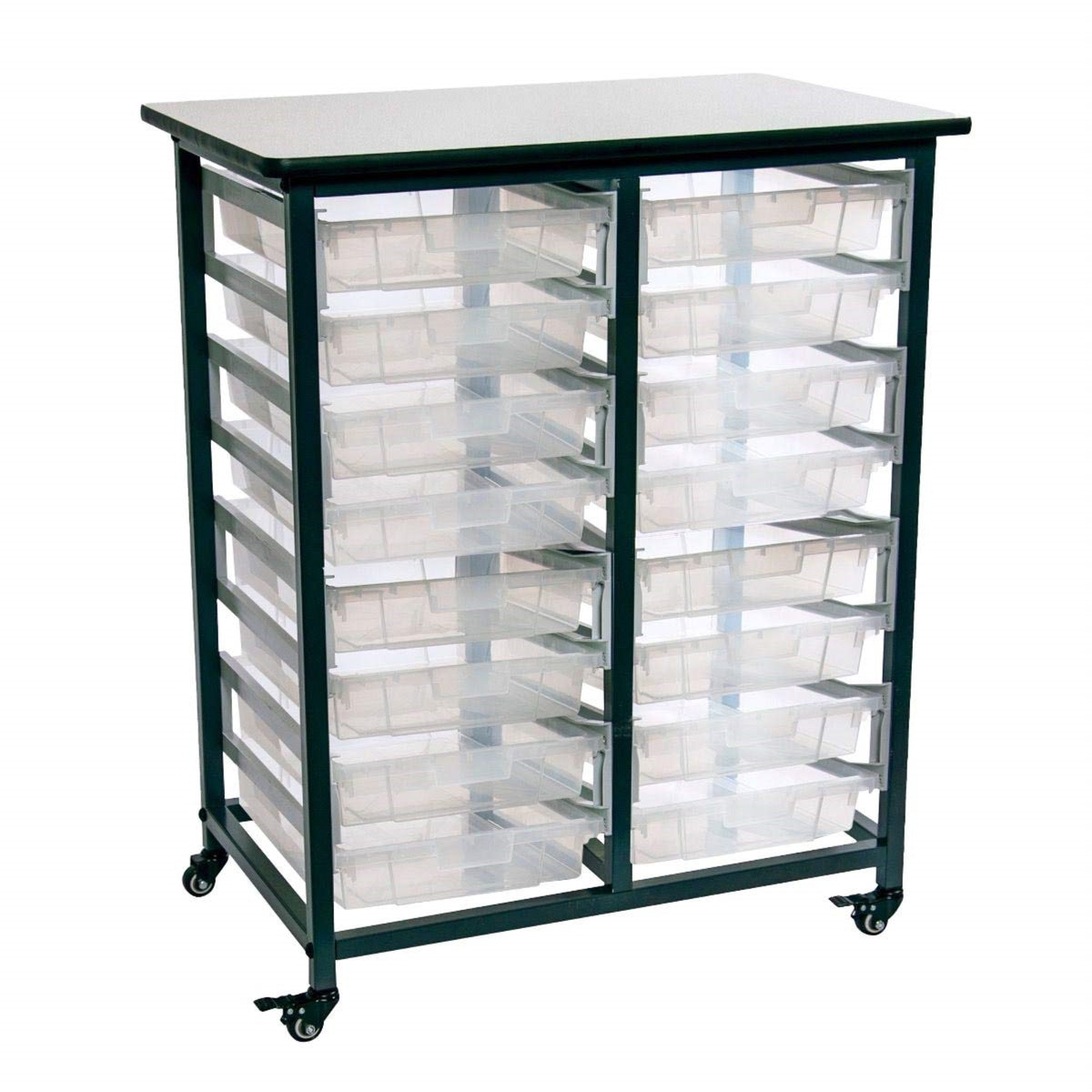Ergode Double Row Mobile Bin Storage Unit With Small Clear Bins