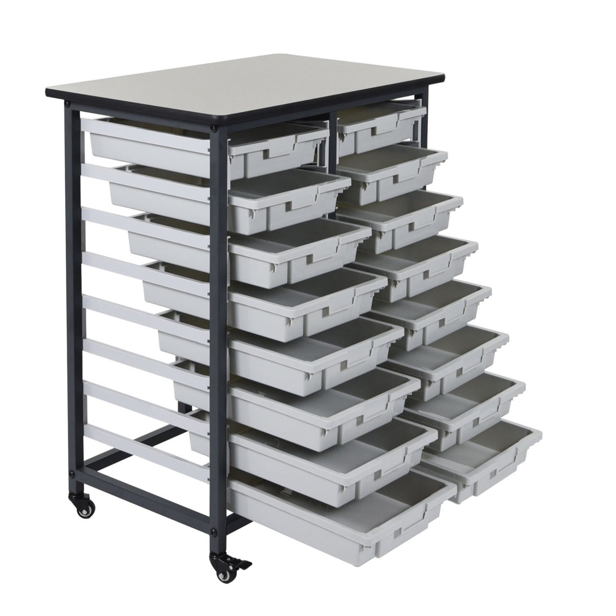 Ergode Double Row Steel Frame Mobile Bin Storage Unit With 16 Bins
