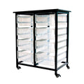 Ergode Double Row Mobile Bin Storage Unit With Large Clear Bins
