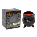 Disney Hocus Pocus I Put A Spell On You ceramic cauldron candle