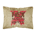 'Caroline'S Treasures Hex Marks The Spot Halloween Canvas Fabric Decorative Pillow, Large, Multicolor'