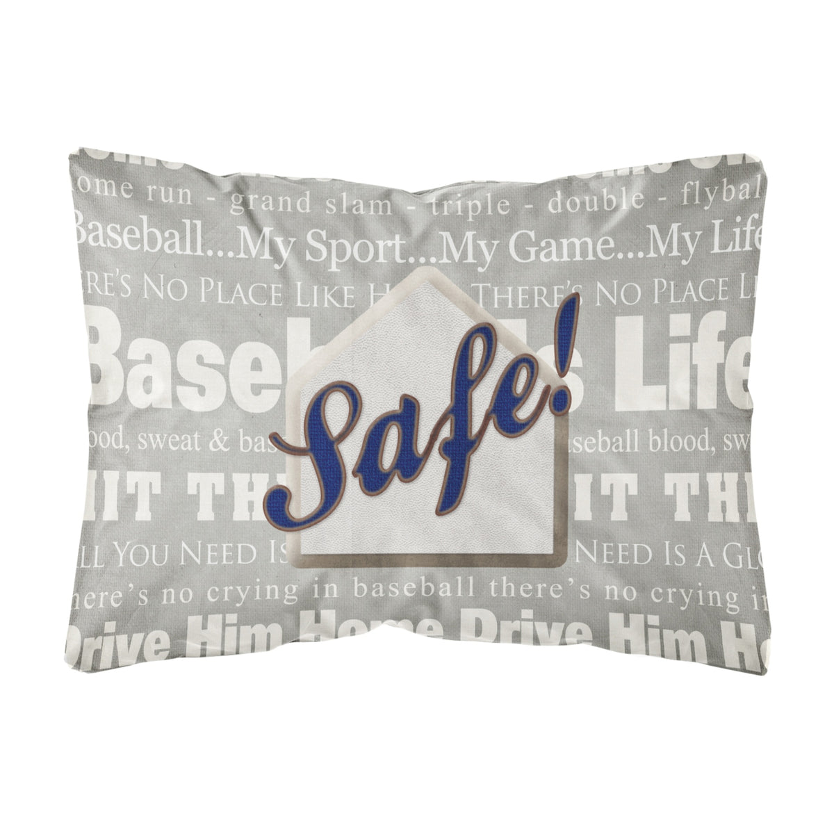 'Caroline'S Treasures Sb3079Pw1216 Safe At Home Canvas Fabric Decorative Pillow, Large, Multicolor'