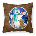 'Caroline'S Treasures Ss1002Pw1414 Boykin Spaniel Decorative Canvas Fabric Pillow, Large, Multicolor'