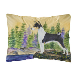 'Caroline'S Treasures Ss8201Pw1216 Basenji Decorative Canvas Fabric Pillow, Large, Multicolor'