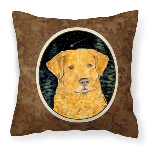 'Caroline'S Treasures Ss8487Pw1414 Starry Night Chesapeake Bay Retriever Fabric Pillow, Large, Multicolor'