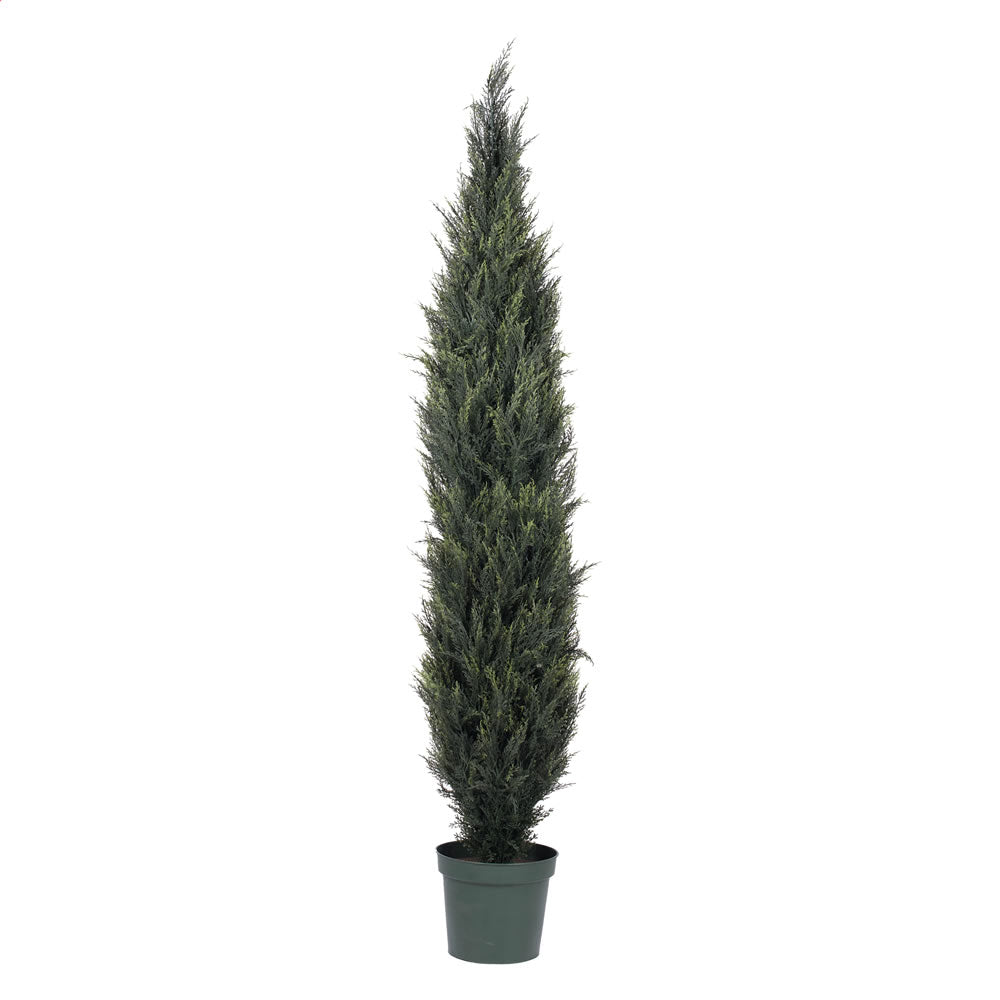 Vickerman 7 Uv Pond Cypress Tree W/3901 Lvs  T160184