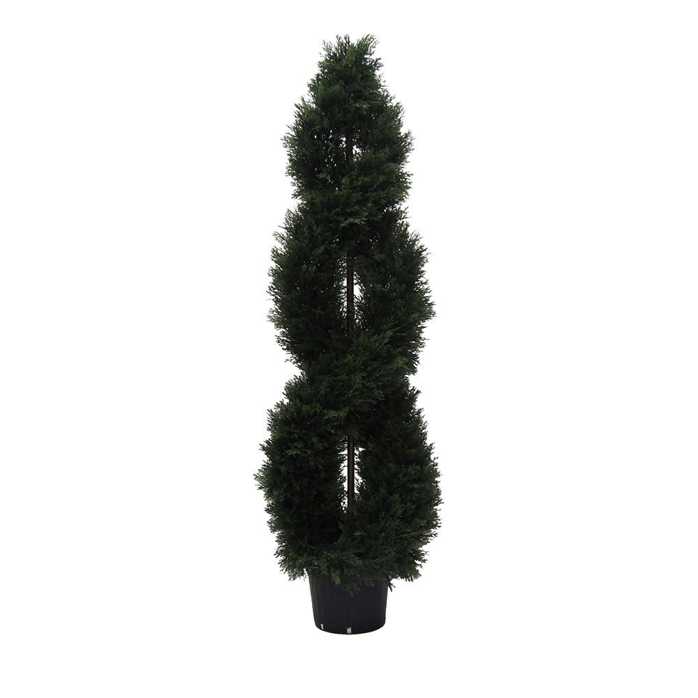 Vickerman 5 Cedar Double Spiral (Uv)  Tp171060