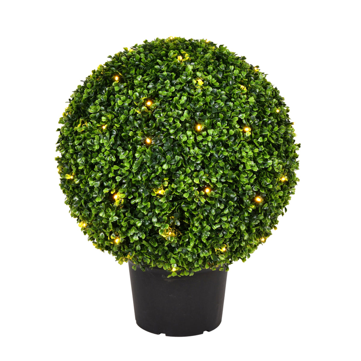 20 Inch  Boxwood Ball In Pot Uv 70Ww Led