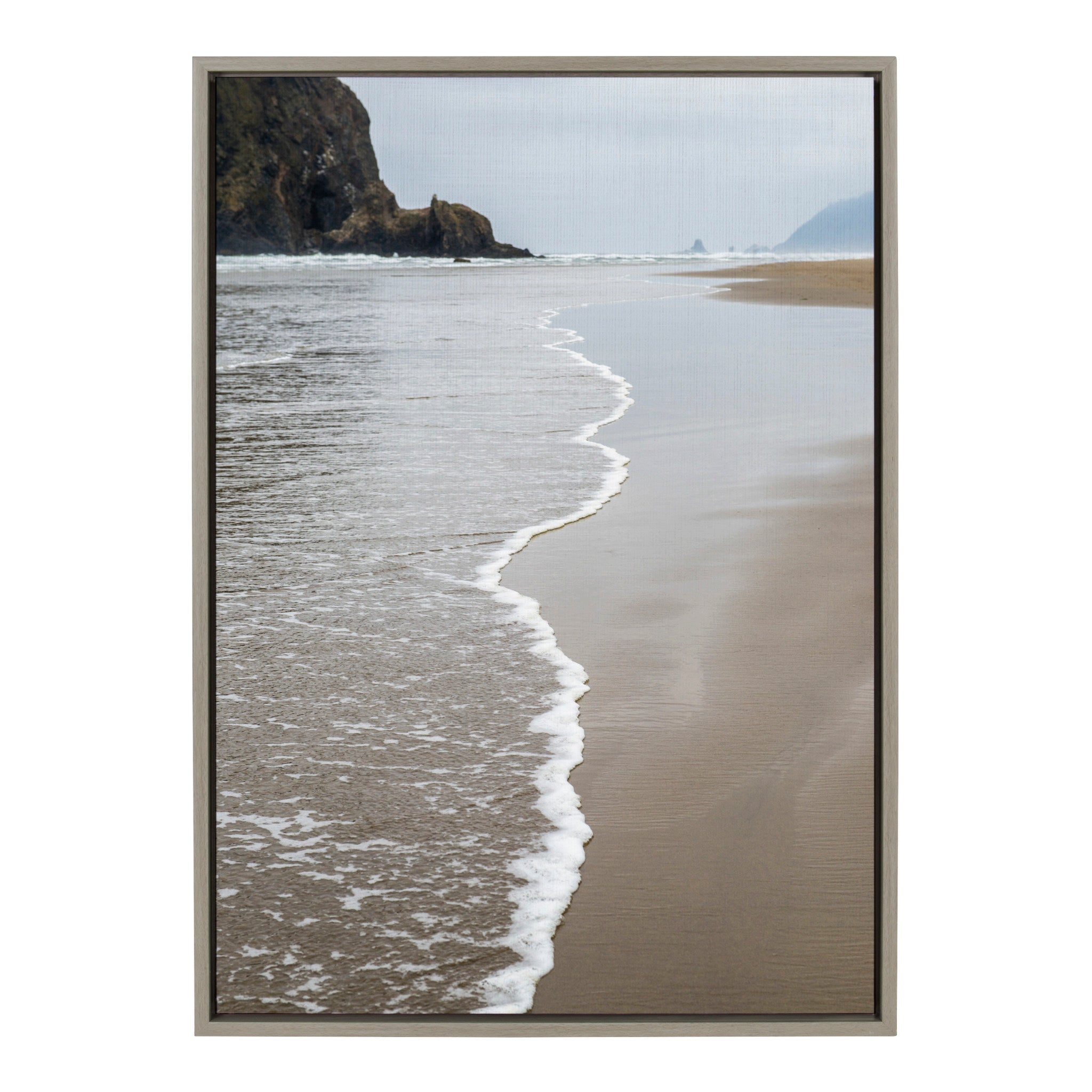 Sylvie Arrival Framed Canvas By Pete Olsen, Gray 23x33