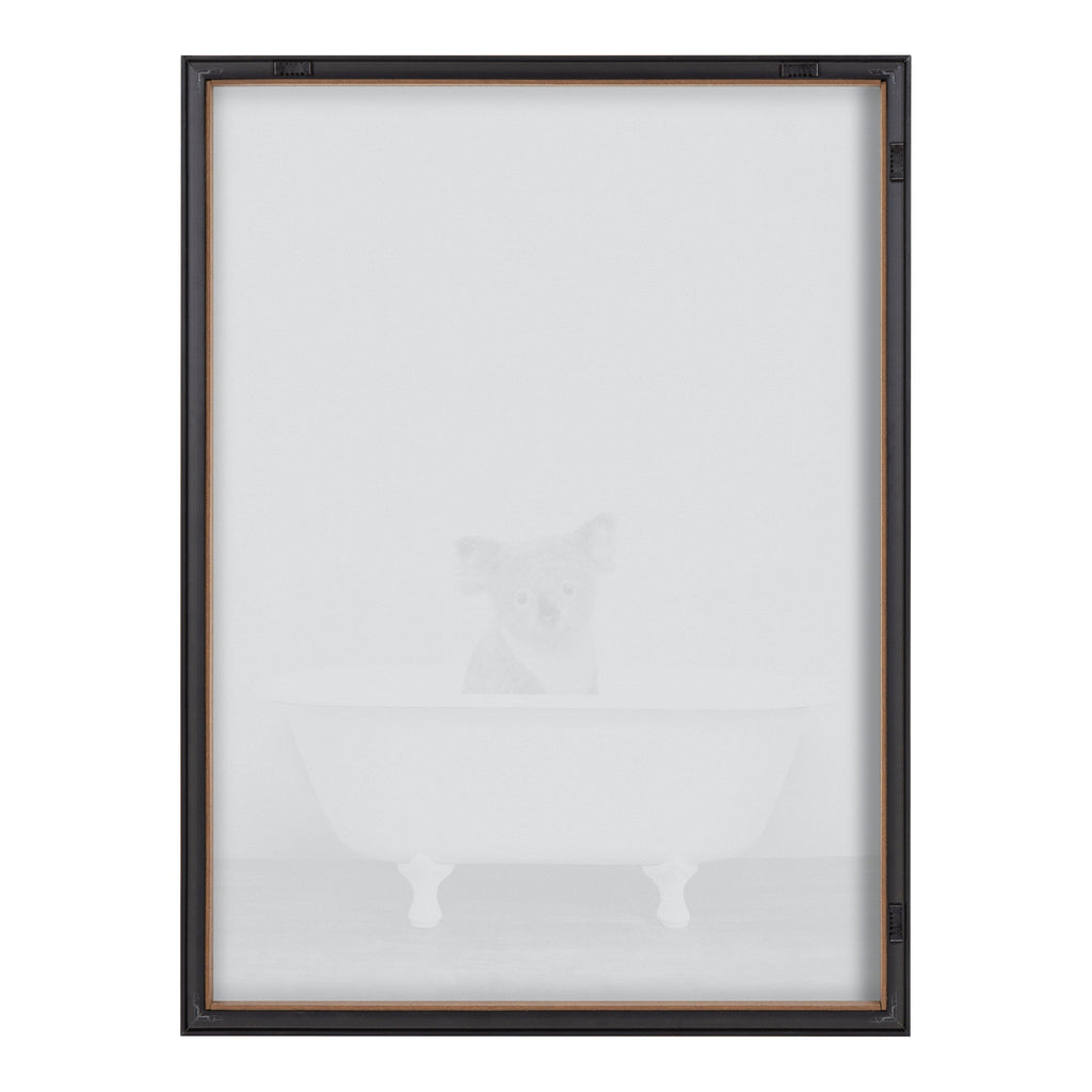 Blake Koala in Bathtub Black and White Framed Printed Glass by Amy Peterson
