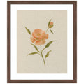 AQ Simple Bloom No 7 by Annie Quigley Framed Wall Art Print