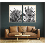 Palm No. 13 & 15 2 Piece Framed Wall Art Print Set by Alicia Bock
