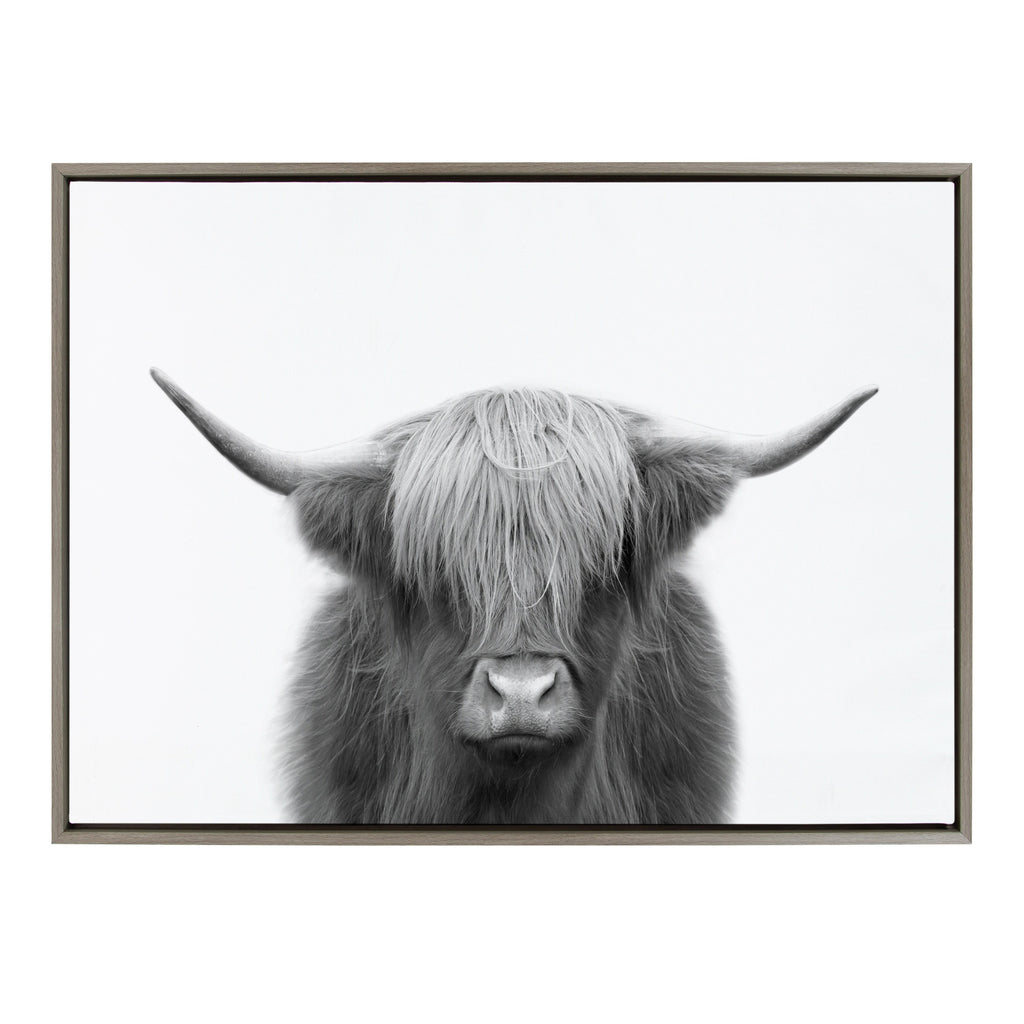 Sylvie Hey Dude Highland Cow Framed Canvas by The Creative Bunch Studio