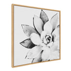 Sylvie Succulent Framed Canvas by Simon Te of Tai Prints