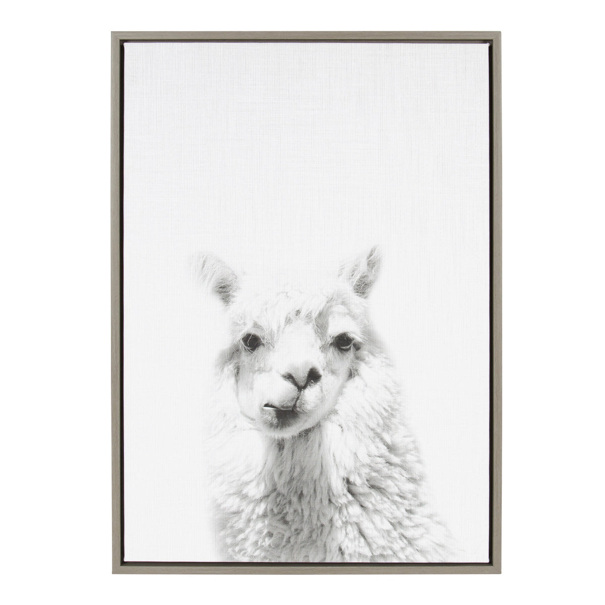 Sylvie Alpaca Framed Canvas by Simon Te of Tai Prints