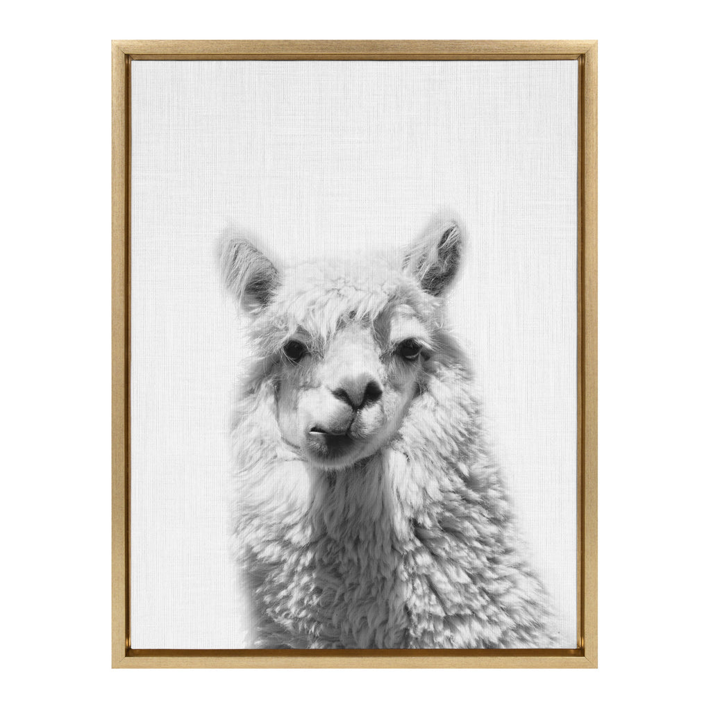 Sylvie Alpaca Framed Canvas by Simon Te of Tai Prints