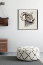 Sylvie Ram Framed Canvas by Ron Dunn