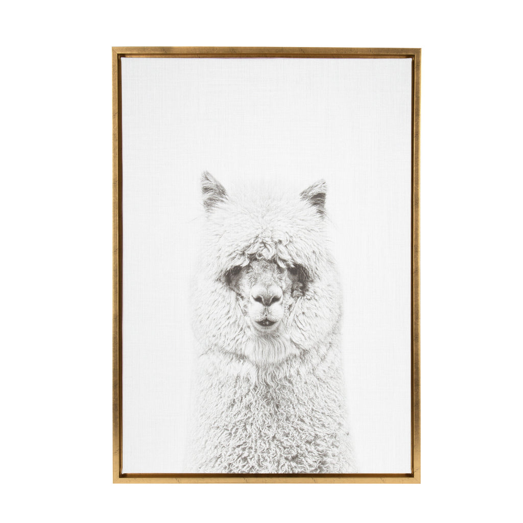 Sylvie Hairy Alpaca Framed Canvas by Simon Te of Tai Prints