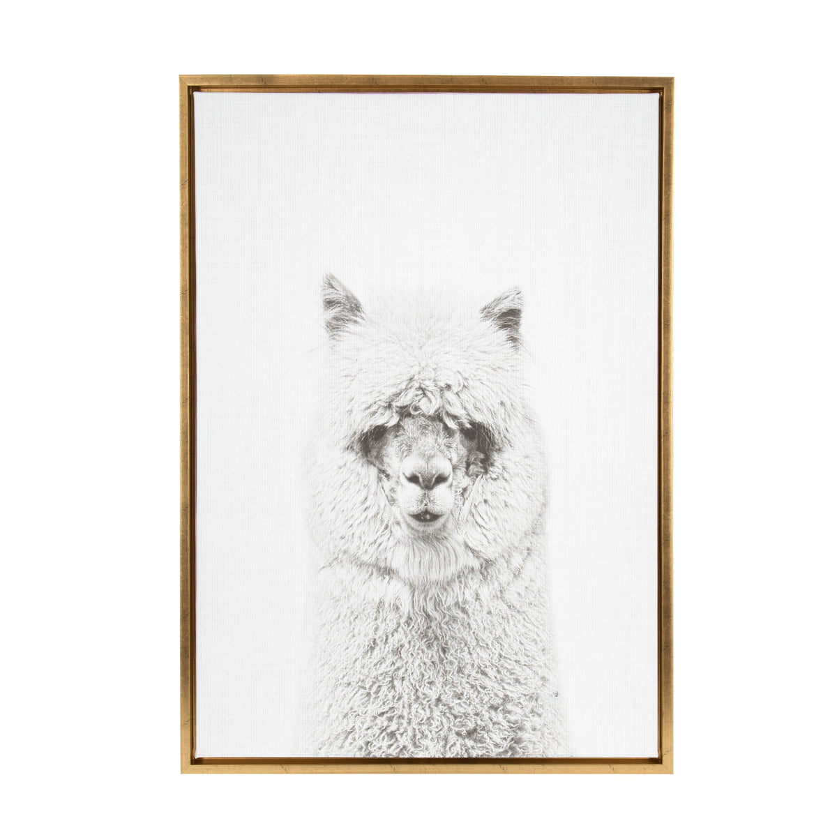 Sylvie Hairy Alpaca Framed Canvas by Simon Te of Tai Prints