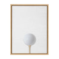 Sylvie Color Golf Ball Portrait Framed Canvas, Natural 18x24