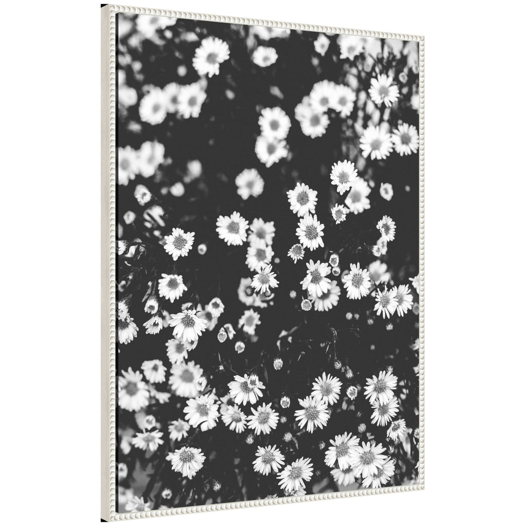 Sylvie Chamomile Framed Canvas by Alicia Abla
