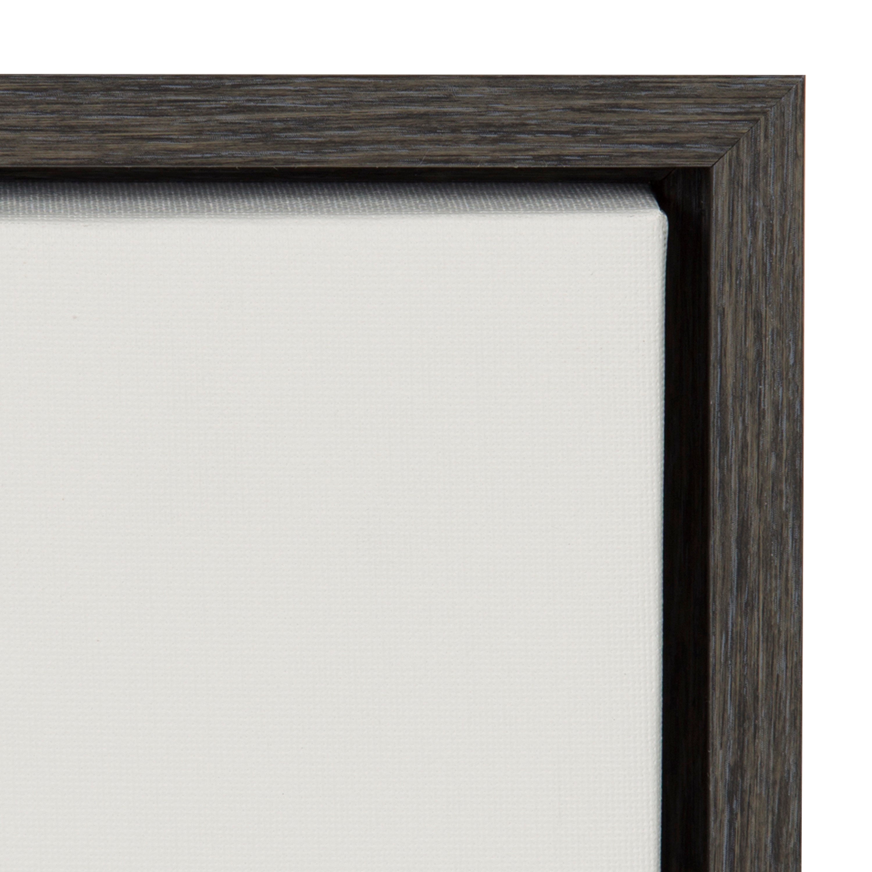 Sylvie Haze Aloe Succulent Framed Canvas by The Creative Bunch Studio