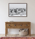 Sylvie Herd of Highland Cows Black and White Framed Canvas by The Creative Bunch Studio