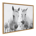 Sylvie Camargue Horse XVII BW Framed Canvas by Laura Evans