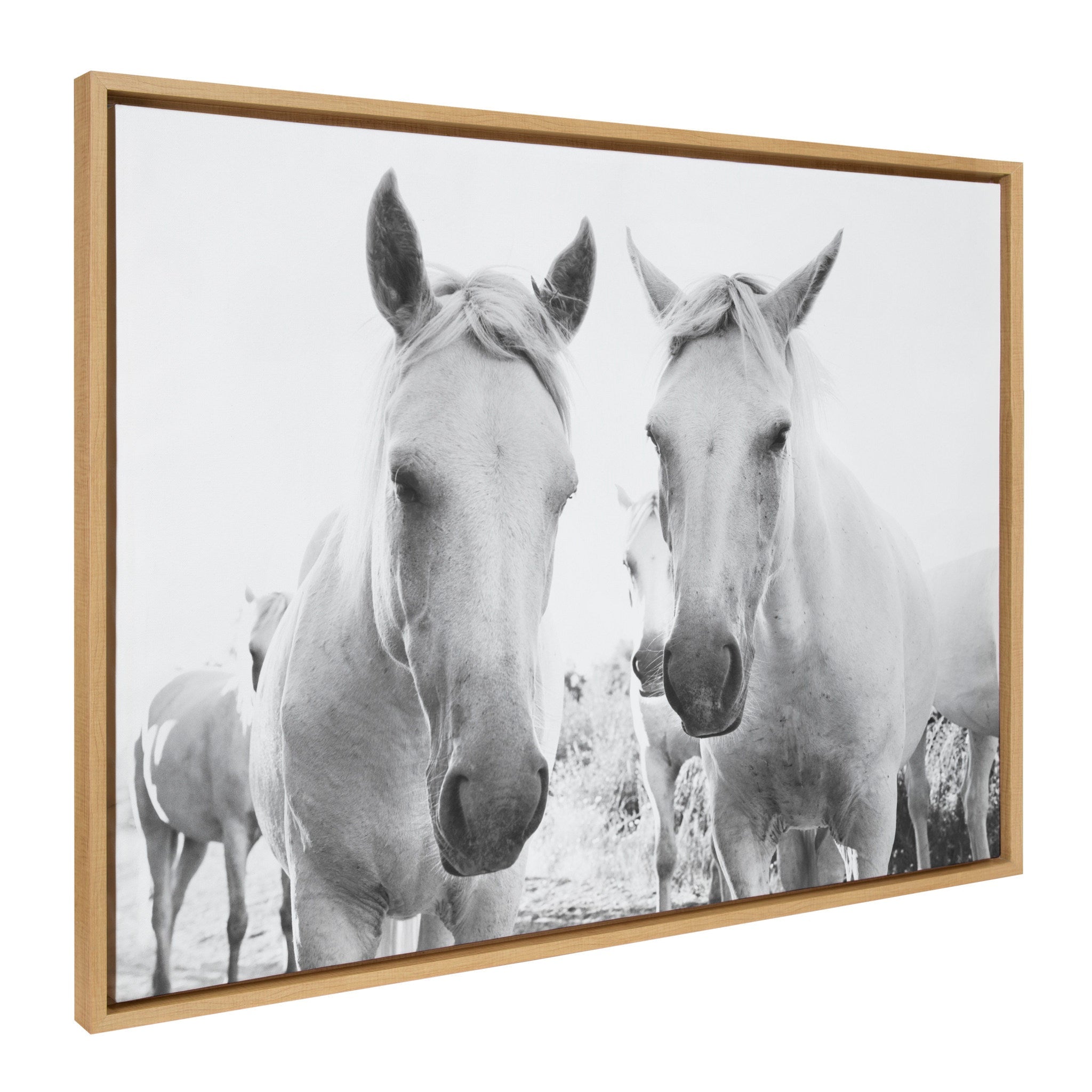 Sylvie Camargue Horse XVII BW Framed Canvas by Laura Evans