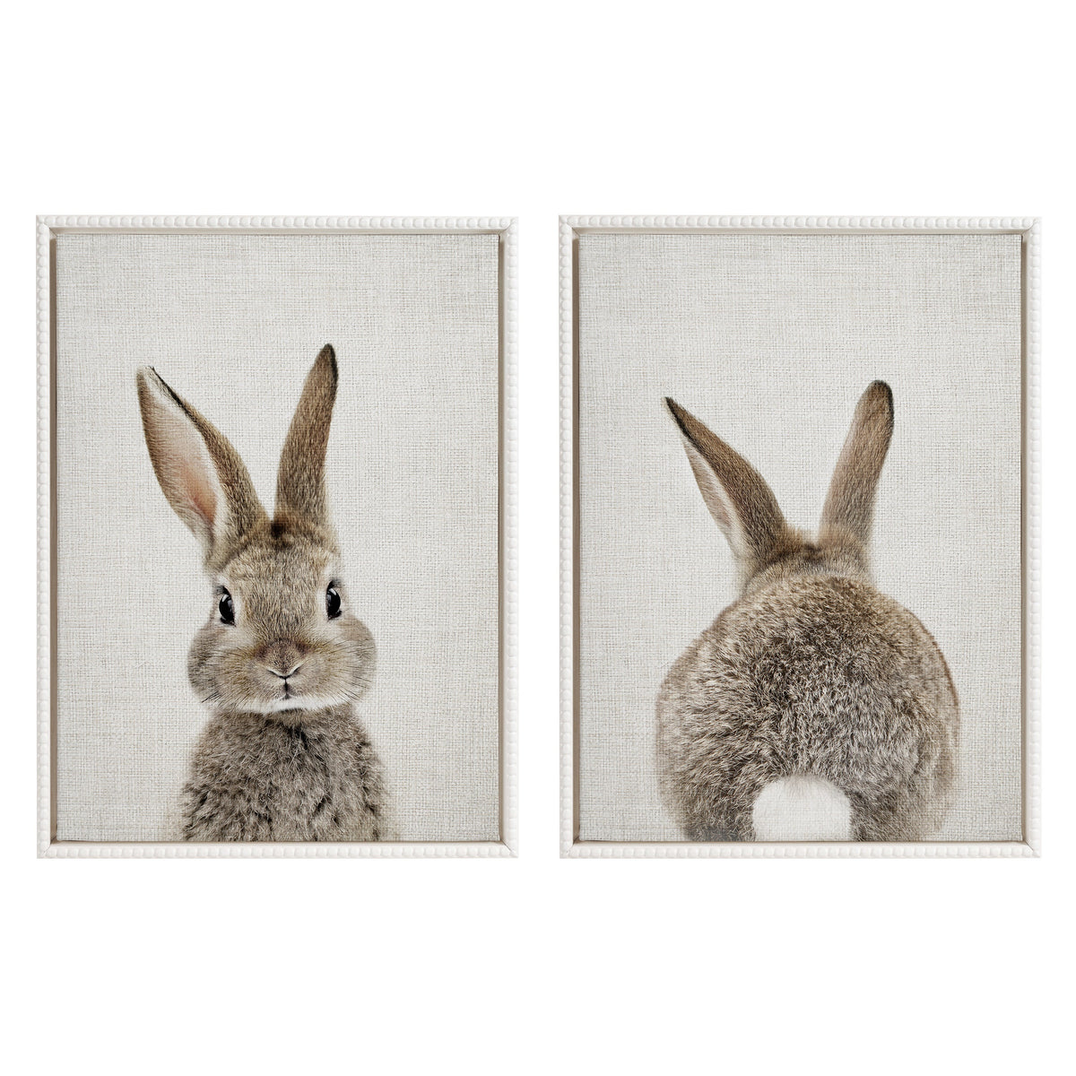Sylvie Bunny Portrait and Bunny Tail Framed Canvas Art Set by Amy Peterson Art Studio