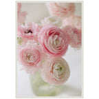 Sylvie Delicate Pink Ranunculus Flower Bouquet Framed Canvas by Kristy Campbell