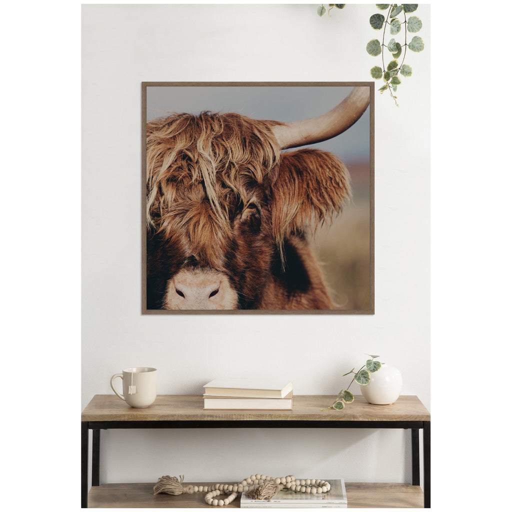 Nosy Highland by Laura Evans Framed Canvas Wall Art Print