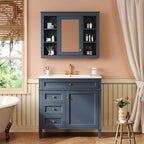Bathroom Vanity With Mirror Cabinet, Single Sink With 2 Soft Closing Doors And 4 Drawers