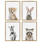 Sylvie Baby Zebra Framed Canvas by Amy Peterson